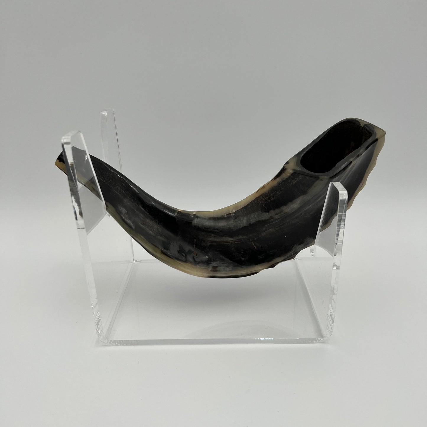 Small Authentic Shofar