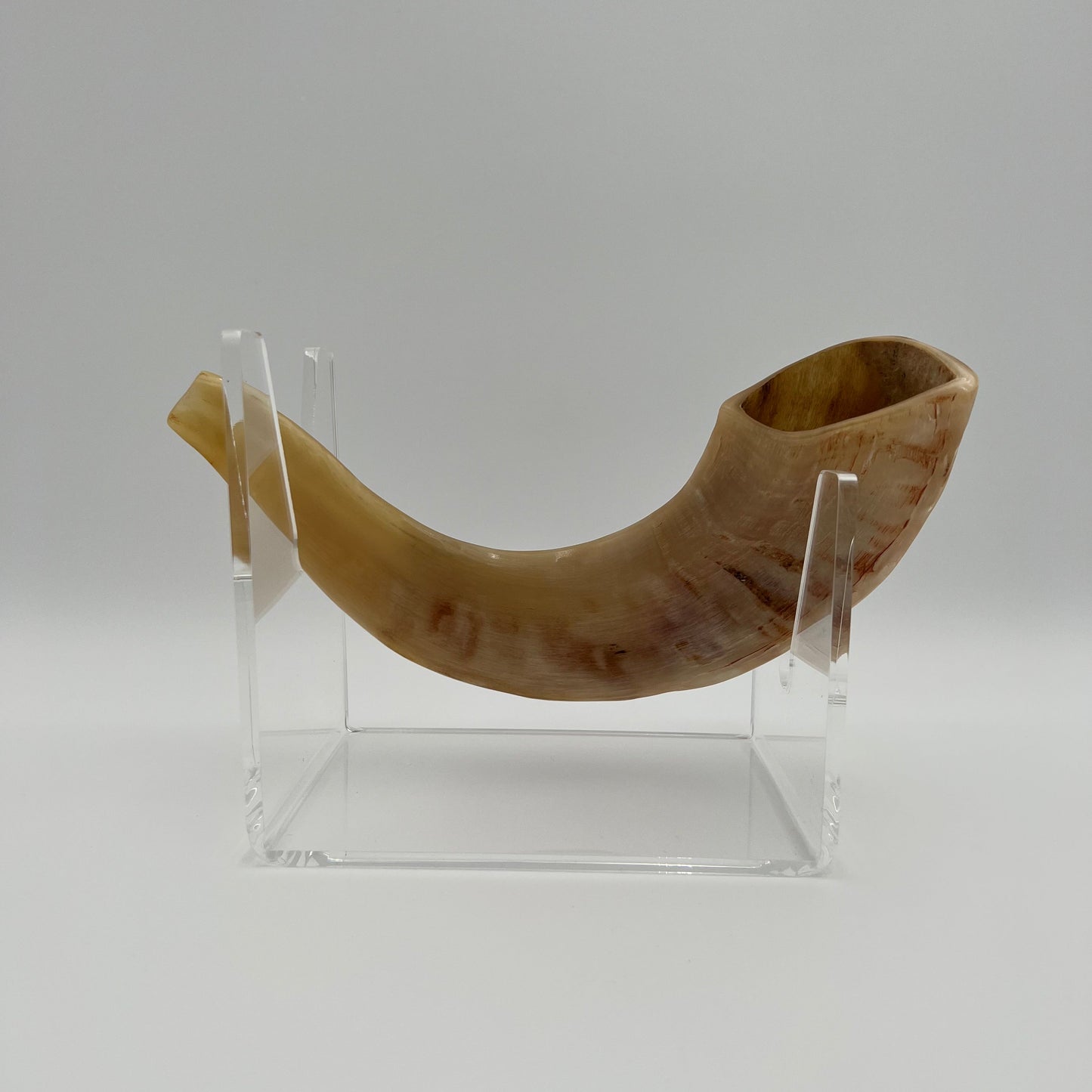 Small Authentic Shofar